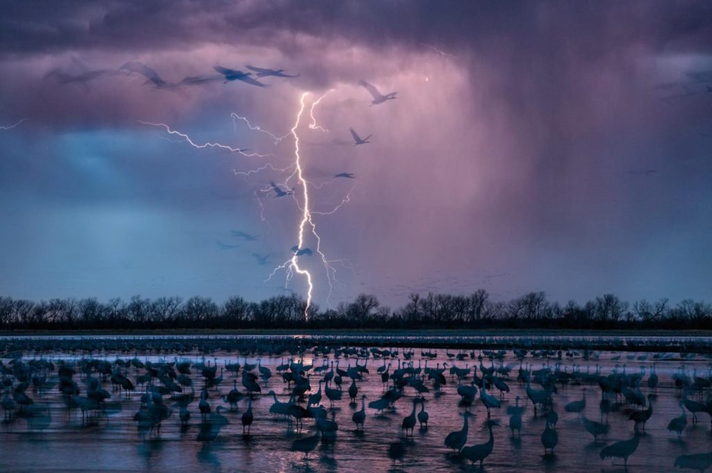 20 найкращих фото 2016 року – National Geographic