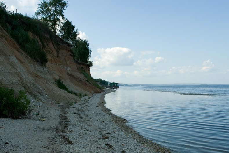 Морское чудовище нашли на берегу Волги