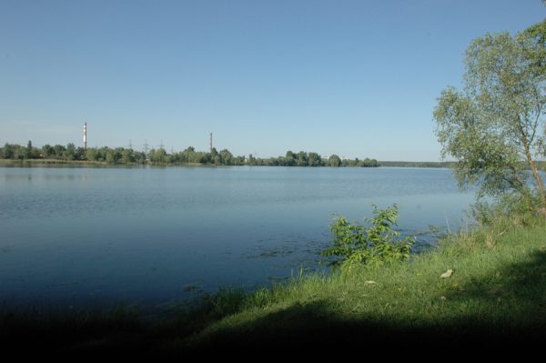 День рибака: де можна ловити рибу в Києві безкоштовно Фото 1