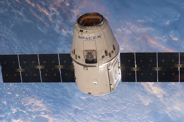 SpaceX отправила в космос мышей и мух