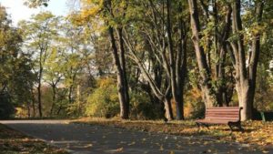 Всесвітній день вторинної переробки: яке свято 15 листопада