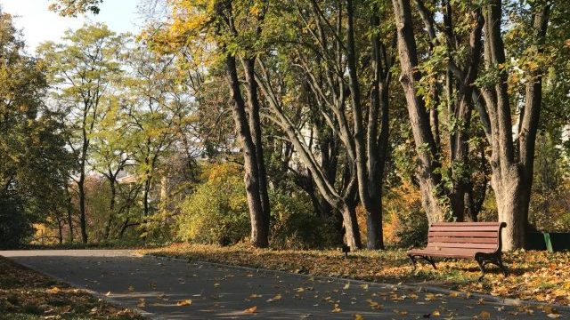 Всесвітній день вторинної переробки: яке свято 15 листопада