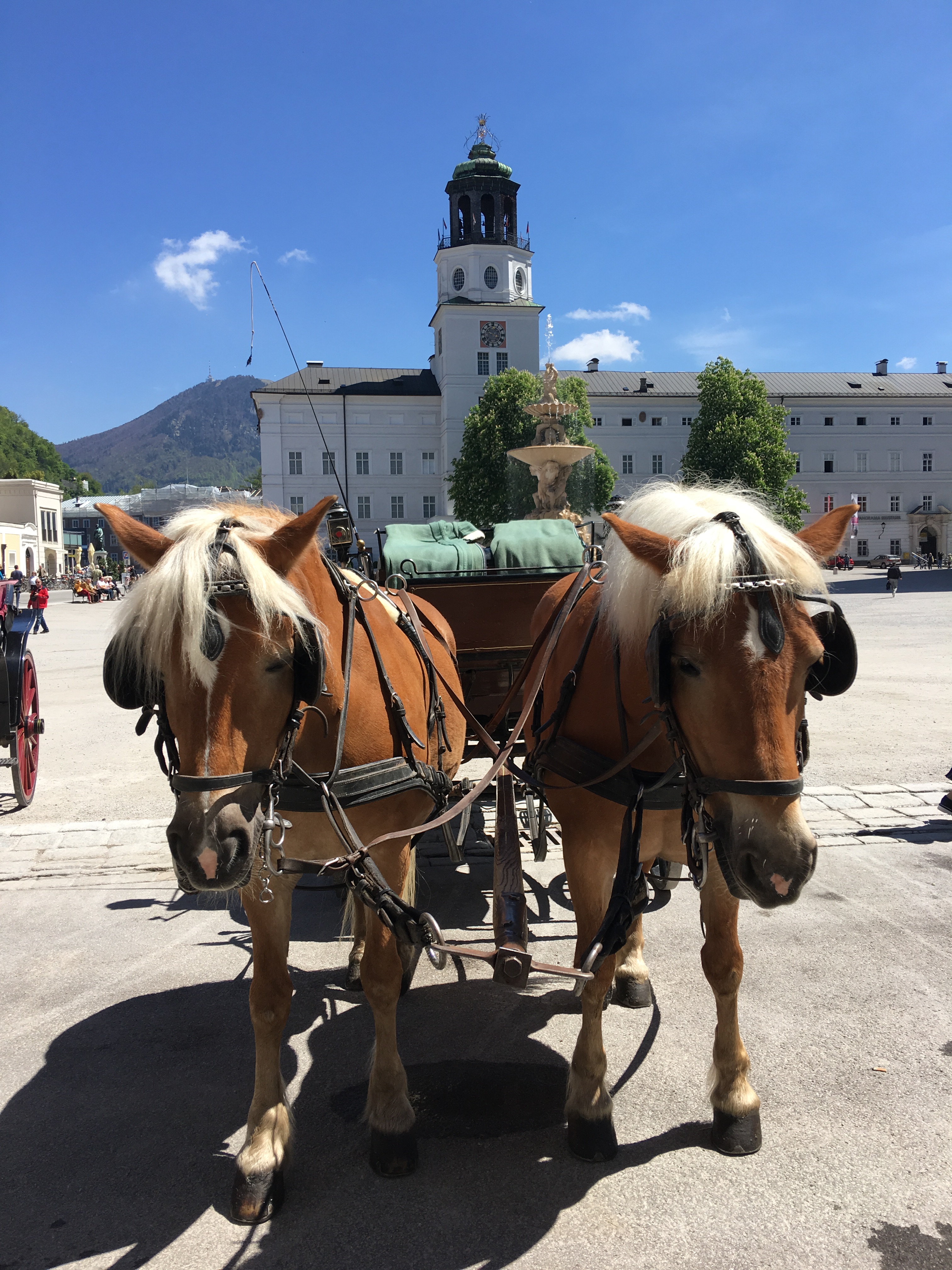 Бюджетный уик-энд в Европе: Зальцбург и Мюнхен Фото 9