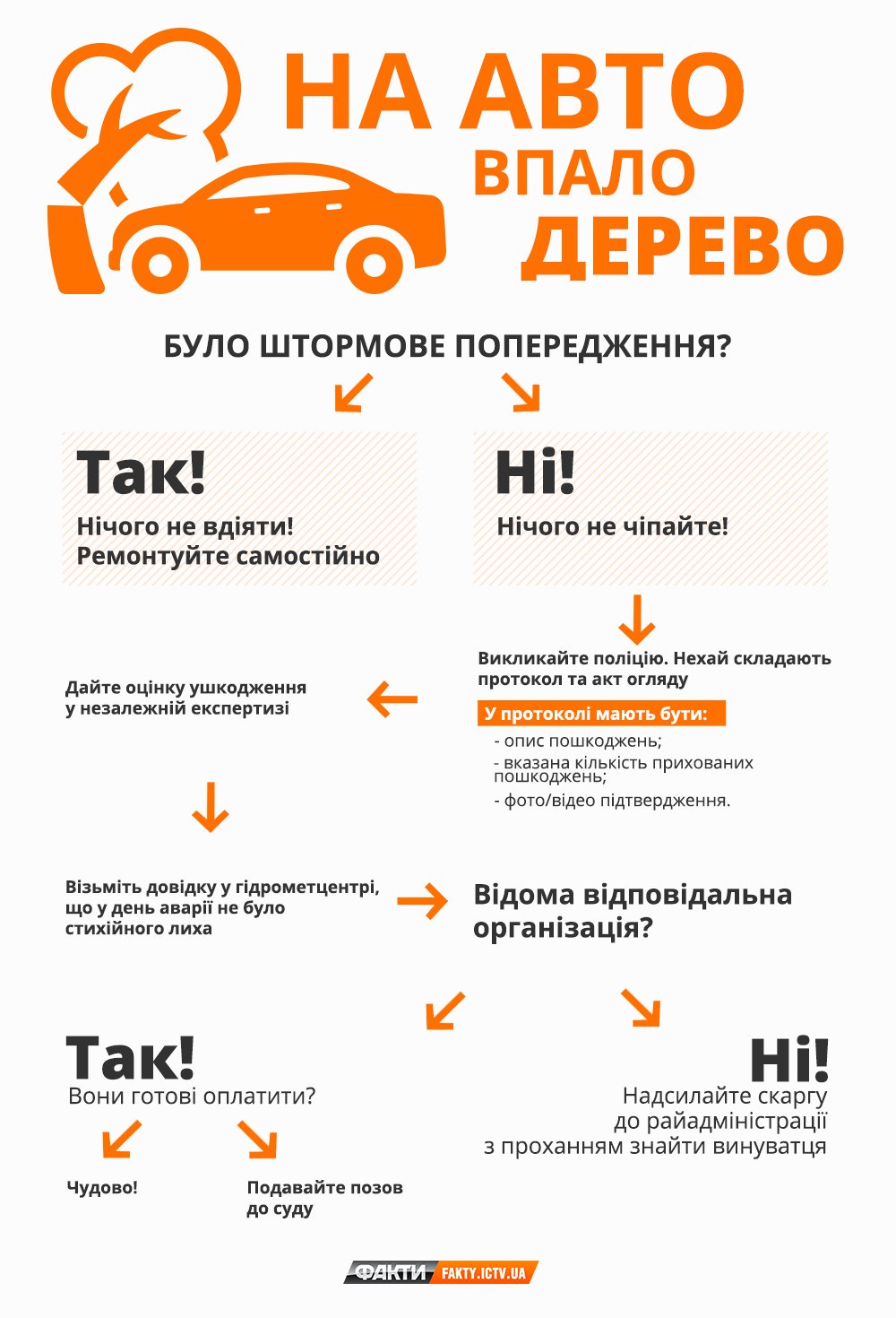 На машину впало дерево – що робити Фото 1