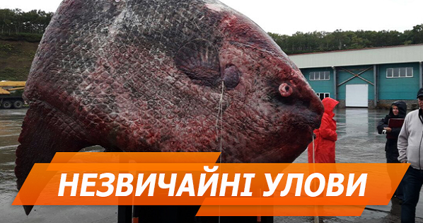 Топ-7 незвичайних уловів рибалок