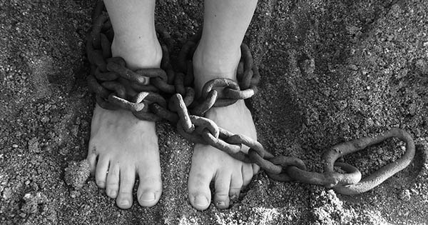 Міжнародний день усунення насильства проти жінок: що робити жертвам насильства Фото 2