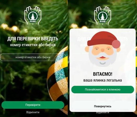 34 тыс. штрафа или тюрьма: как купить легальную новогоднюю елку и цены Фото 4