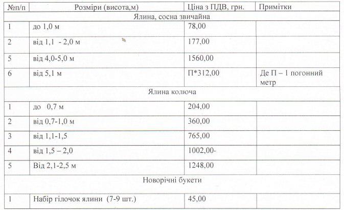 34 тыс. штрафа или тюрьма: как купить легальную новогоднюю елку и цены Фото 1
