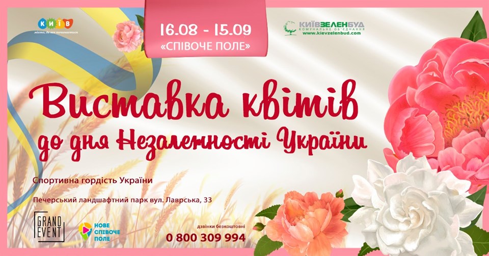 День незалежності 2019: афіша заходів Фото 2