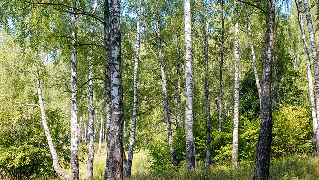 Гадания на Ивана Купала 2019 — лучшие способы Фото 4