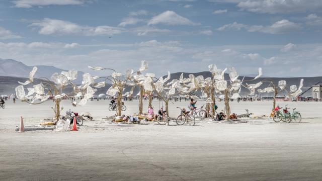 Burning Man: семь интересных фактов о фестивале и украинцах на нем Фото 1