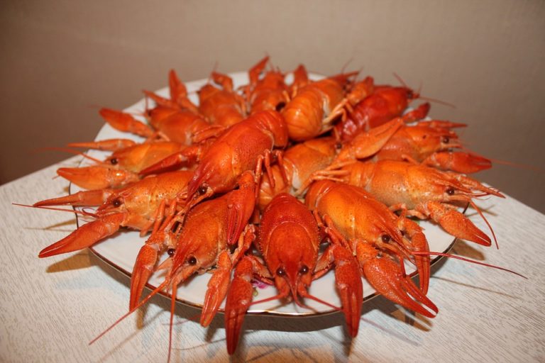 Закуски до пива