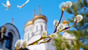 Як освячувати вербу на карантині