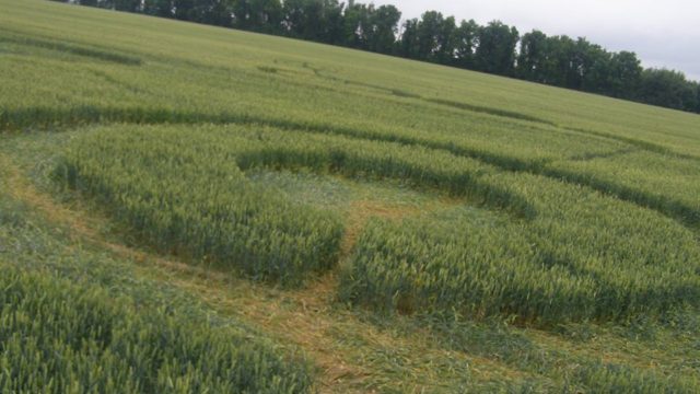 Всесвітній день НЛО 2020: у яких місцях України аномальне фіксують найчастіше Фото 3
