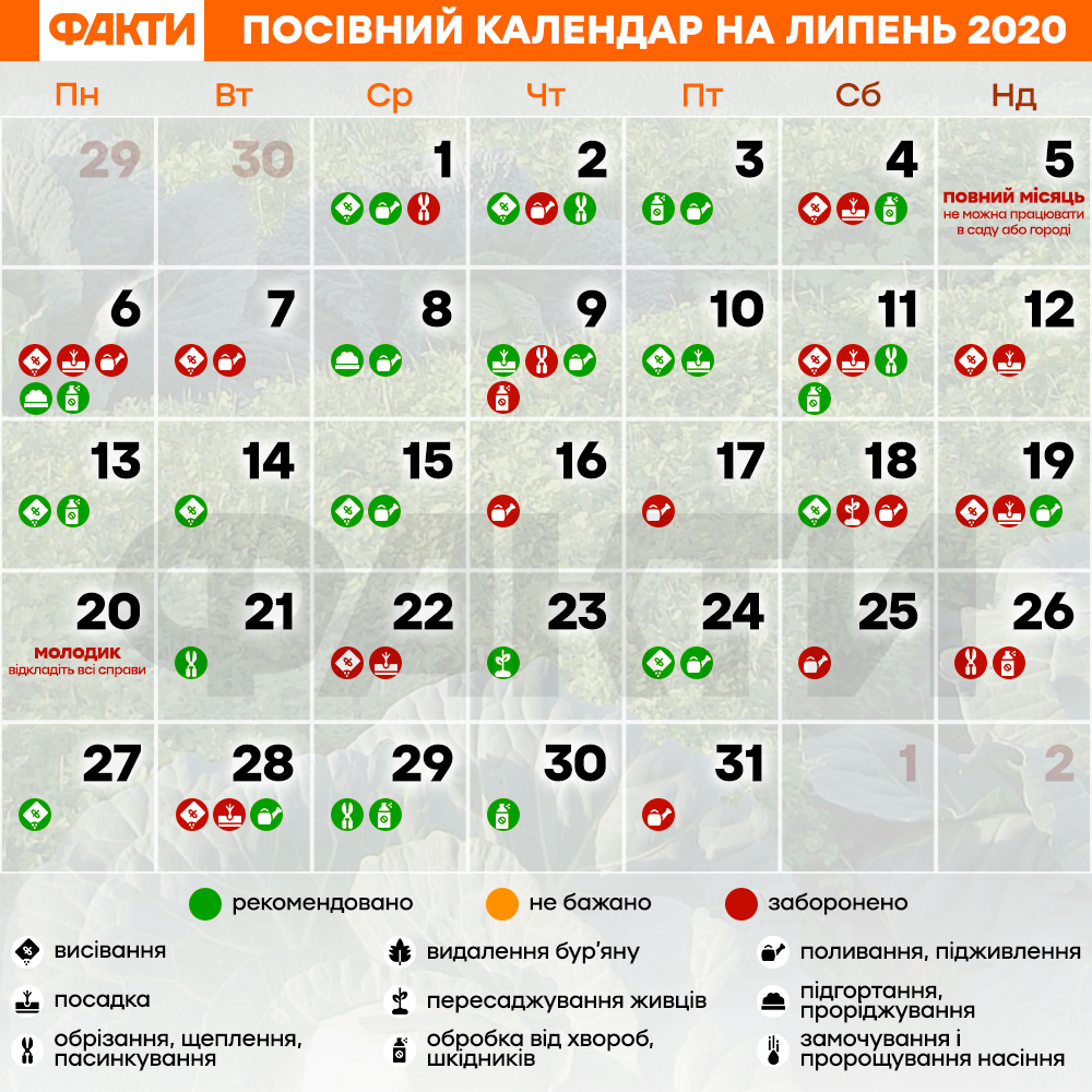 Календар городника на липень 2020