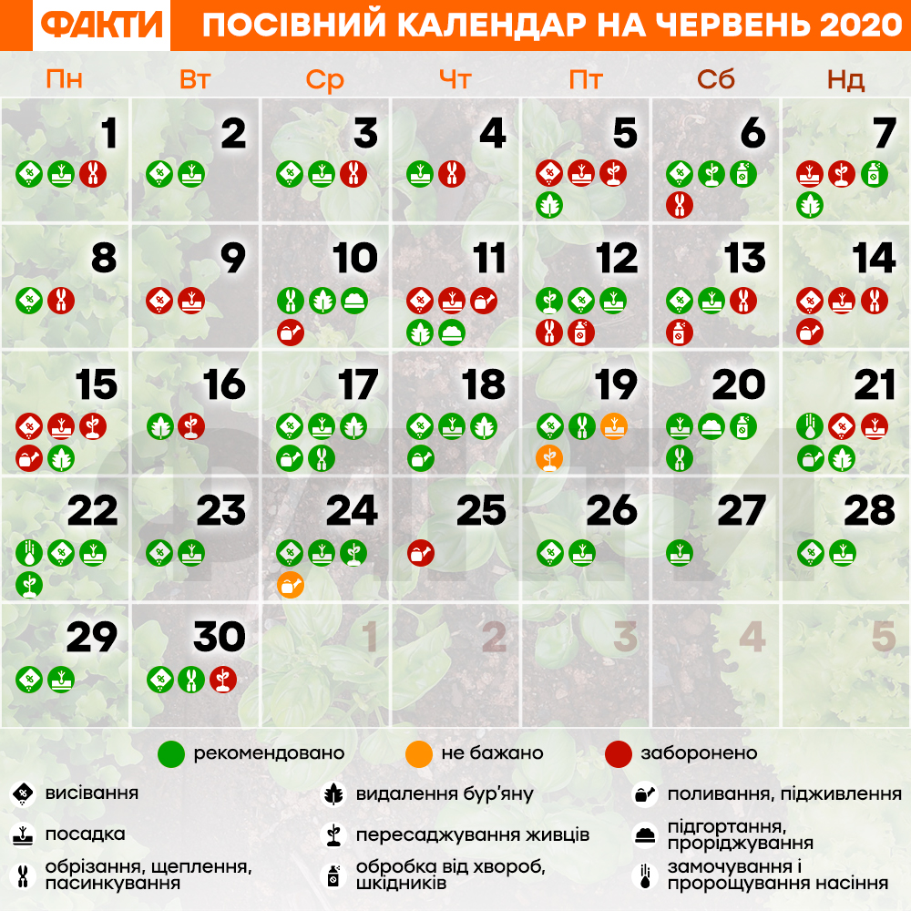 Посівний календар на червень 2020