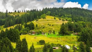 Куди поїхати влітку в Карпати