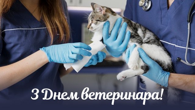 Завжди залишайся добрим Лікарем Айболитом! Привітання з Днем ветеринара 2024 Фото 1 День ветеринара 2024