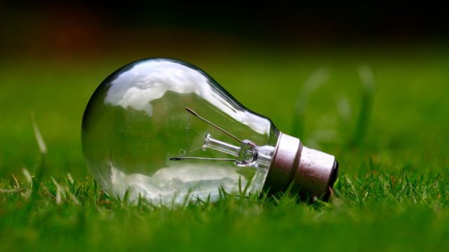 Час Земли: что это и как присоединиться