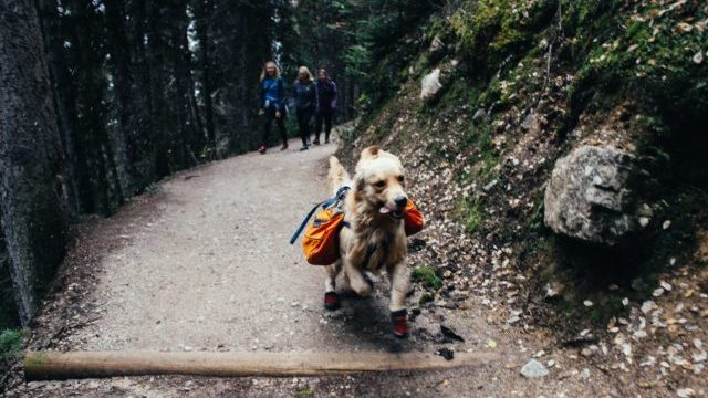 Що потрібно брати з собою у похід – список Фото 1