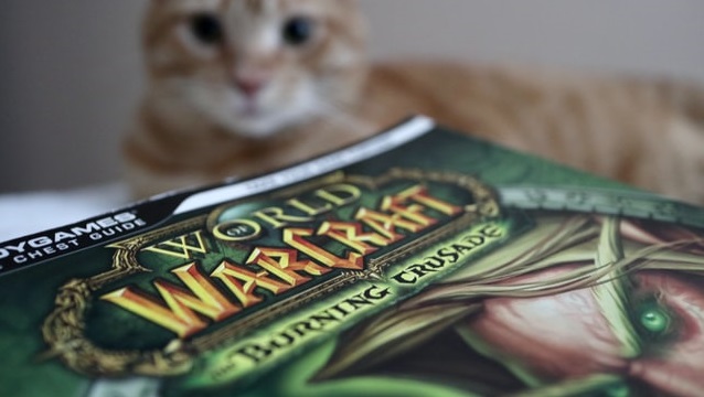Игроки World of Warcraft устроили бойкот Blizzard: скандал набирает оборотов