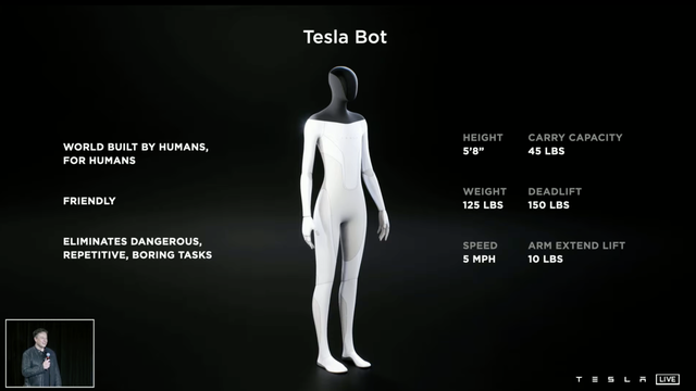 Tesla Bot