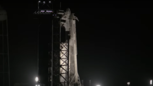 SpaceX отправила в космос ракету с пиццей и муравьями