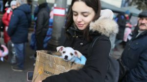 6 сервисов для поиска жилья в Украине во время войны