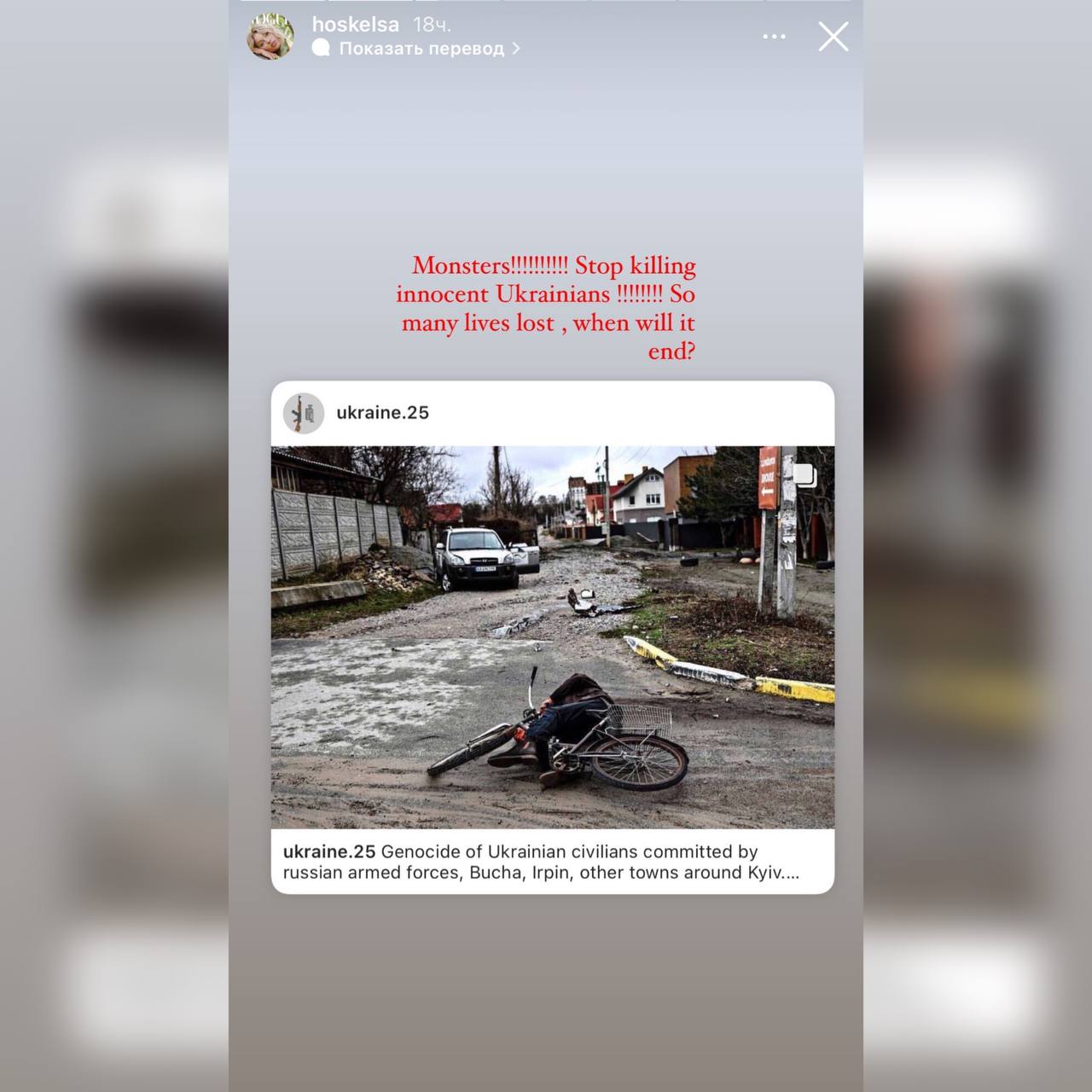 Эльза Хоск высказалась о геноциде в Буче Фото 1