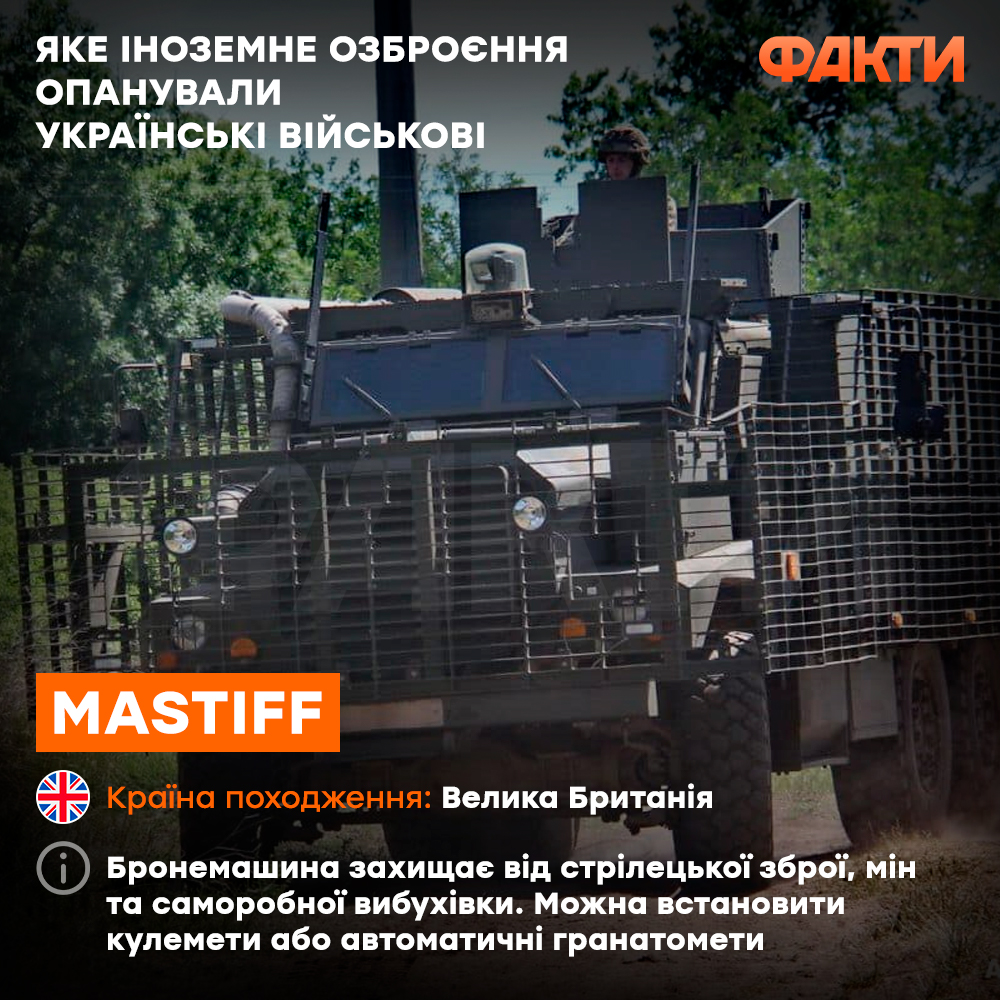 Mastiff