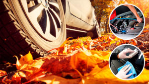 Як підготувати авто до осені: 10 правил