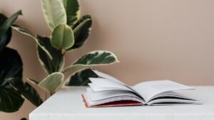 Метр красоты и зелени дома. Как ухаживать за фикусом Бенджамина и приметы о нем