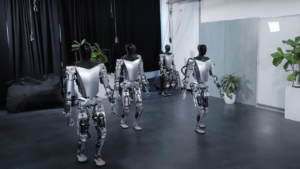 Tesla Bot