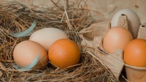 Кури їдять яйця: що робити та які методи використовувати