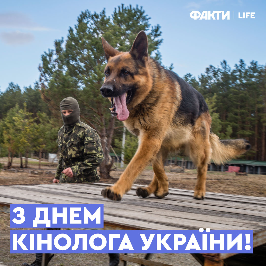 День кінолога України 2024