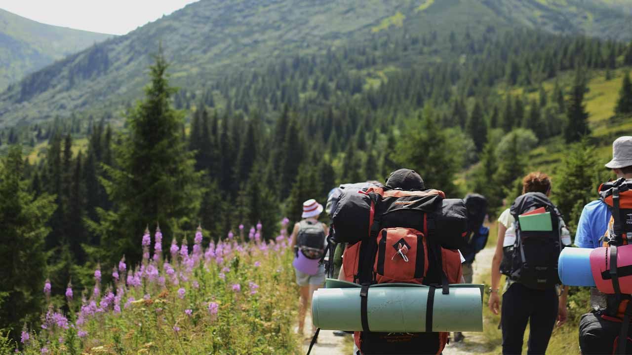 відпочинок в Карпатах