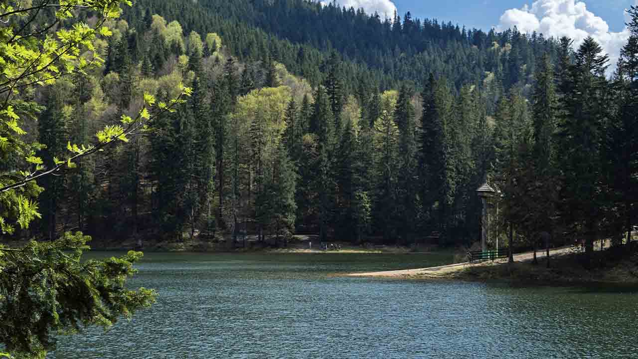 Що можна побачити поблизу легендарного озера Синевир Фото 1 Синевир